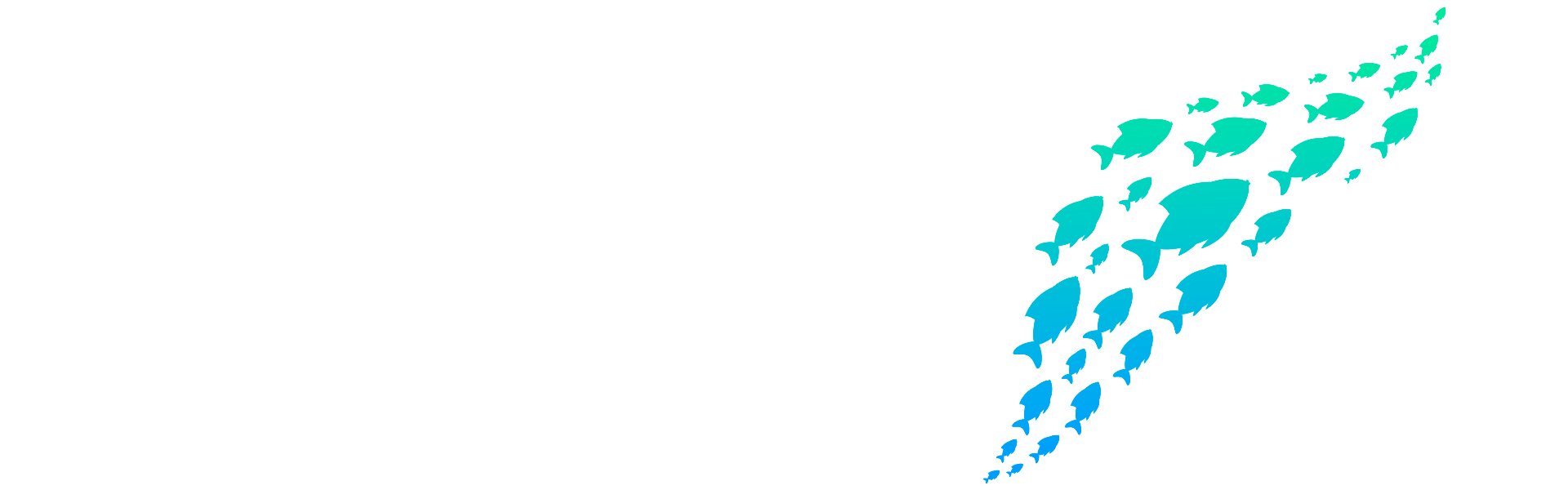 fish-bg